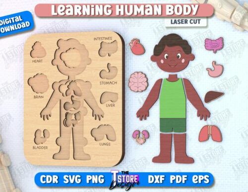 Juego de anatomía para niños
