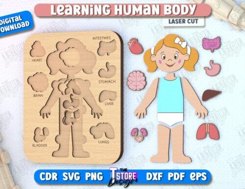 Juego de anatomía para niños