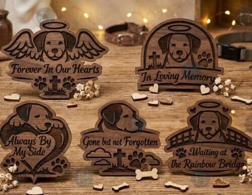 Letra personalizada para perro Día del Amor y la Amistad
