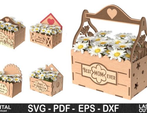 Paquete de caja de flores para el Día de la Madre