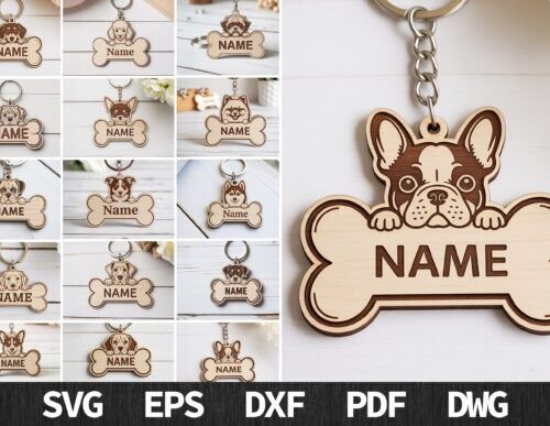 Paquete de llaveros con placa para perro