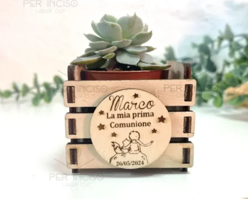 Cesta de madera para plantas suculentas